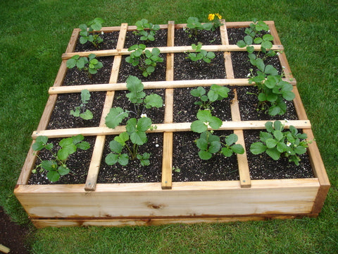 Raised Bed Garden