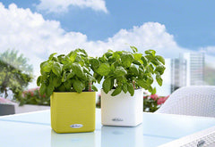 Cube Color 14 - All In One Table Planter