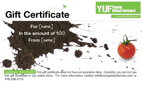YUF Gift Certificate